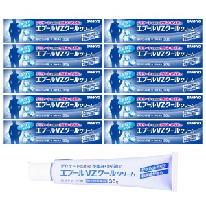 【第2類医薬品】エプールVZクールクリーム 30g 鎮痒消炎薬 ×10個セット 