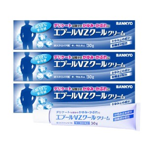 【第2類医薬品】エプールVZクールクリーム 30g 鎮痒消炎薬 ×3個セット メール送料無料