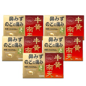 【第2類医薬品】カゼソフトカプセルN 24カプセル×5個セット 送料無料