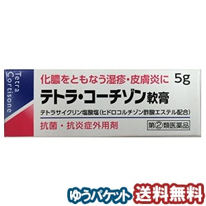 【第（2）類医薬品】 テトラ・コーチゾン軟膏 5g メール便送料無料