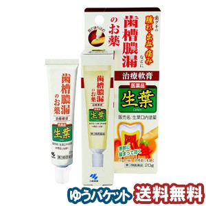 【第3類医薬品】 小林製薬 生葉口内塗薬 20g  メール便送料無料