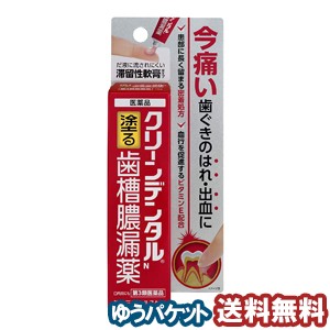 【第3類医薬品】 クリーンデンタルN 歯槽膿漏薬 8g メール便送料無料