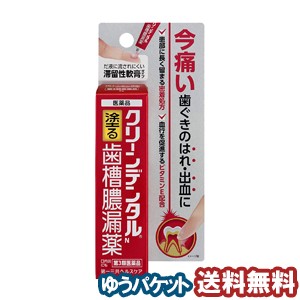 【第3類医薬品】 クリーンデンタルN 歯槽膿漏薬 16g メール便送料無料