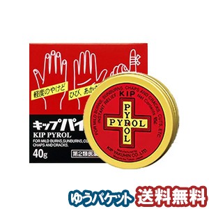 【第2類医薬品】キップ薬品 キップパイロールHi 40g メール便送料無料