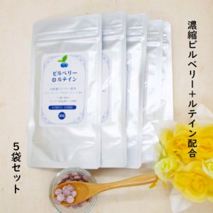 ビルベリー + ルテイン 60粒入【 5袋セット 】約5ヶ月分 1日量2粒にビルベリー 500mg ルテイン 9mg配合 送料無料