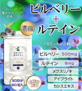 ビルベリー + ルテイン 60粒入 30日分 2粒にビルベリー 500mg ルテイン 9mg配合 更にブルーベリー、メグスリの木が配合　送料無料