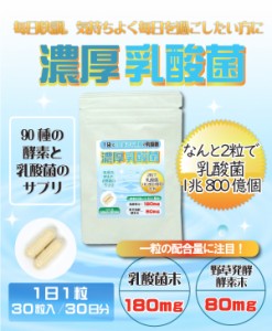 濃厚乳酸菌 2粒で1兆個の乳酸菌配合　一袋に16兆2千億個の乳酸菌を配合　乳酸菌　野草発酵酵素乳酸菌は“億”から“兆”へ！　送料無料