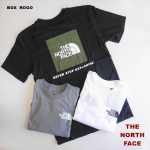 ザ ノースフェイス ボックス 半袖Tシャツ/The North Face S/S Box Tee/NF0A4763/USA企画/メンズ レディース/ネコポス発送OK!