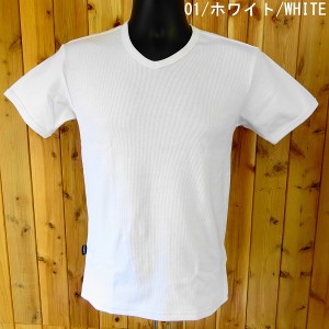 アビレックス デイリー リブ 半袖Tシャツ ＶネックＴシャツ AVIREX 6143501/ネコポス発送OK!