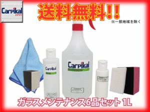 送料無料【業務用 ガラスメンテナンス６品 PROセット 1L】ガラスコーティング　油膜取り　ワイパー傷落とし