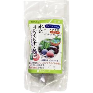 メダカ 水槽 ビオトープ 送料無料の通販 Au Pay マーケット