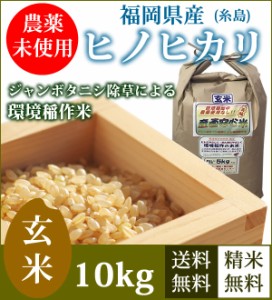 農薬未使用　玄米　福岡県糸島産　ヒノヒカリ　10kg 送料無料(5kg×2袋)　産地直送 