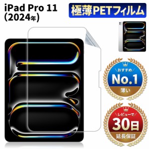 iPad Pro 11 インチ 2024年 M4 アイパッド プロ 11インチ フィルム 保護フィルム  液晶フィルム 液晶 画面 保護 指紋 傷 スクラッチ 防止