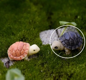 クサガメ ミドリガメ色子亀 カメ 水槽造園苔マイクロ風景多肉植物装 装飾 DIY 材料　k100000201