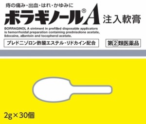 【第(2)類医薬品】ボラギノールA注入軟膏 2g×30個