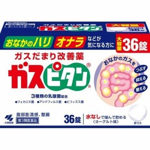 【第3類医薬品】ガスピタン 36錠
