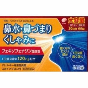 ★【第2類医薬品】スカイブブロンHi 60錠・30日分