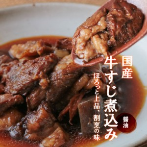 肉 おつまみ 国産牛すじ煮込み190g×2袋が1セット スジ肉 すじ肉 おつまみ お肉 焼き鳥 訳あり 在庫処分 食品 宮崎 レトルト 非常食・保