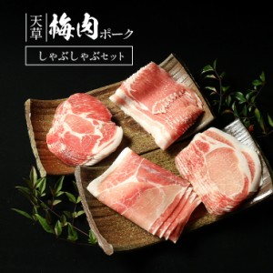 熨斗可 化粧箱入 御中元 お中元  プレゼント ギフト 贈り物 天草梅肉ポーク 豚肉 しゃぶしゃぶセット 鍋 ロース250g　約5人前 肩ロース25