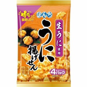 ぼんち 海鮮揚煎 うに揚げせん 64g×12入