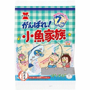 岩塚製菓 がんばれ！小魚家族 47g×6入