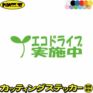 おもしろ ドラレコ ステッカー エコドライブ実施中 1-1 カッティングステッカー 全12色 車 あおり運転 煽り運転 対策 防止 おしゃれ かわ