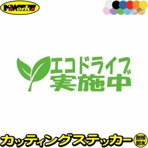 おもしろ ドラレコ ステッカー エコドライブ実施中 1-5 カッティングステッカー 全12色 車 あおり運転 煽り運転 防止 おしゃれ かわいい 