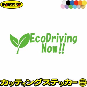 おもしろ ドラレコ ステッカー EcoDrivingNow ( エコドライブ ) 1-7 カッティングステッカー 全12色 車 あおり運転 煽り運転 対策 防止 