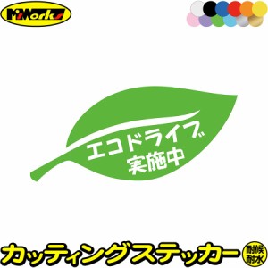 ドラレコ おもしろ ステッカー エコドライブ実施中 1-8 カッティングステッカー 全12色 車 あおり運転 煽り運転 対策 防止 おしゃれ かわ