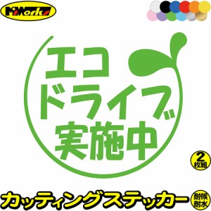 おもしろ ドラレコ ステッカー エコドライブ実施中 2-1(2枚1セット) カッティングステッカー 全12色 車 あおり運転 煽り運転 対策 防止 