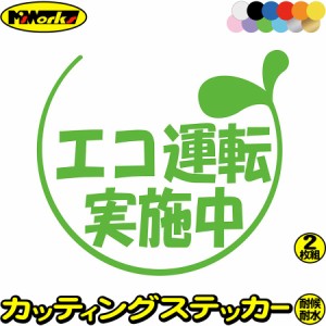 ドラレコ おもしろ ステッカー エコ運転実施中 2-2(2枚1セット) カッティングステッカー 全12色 車 あおり運転 煽り運転 対策 おしゃれ 