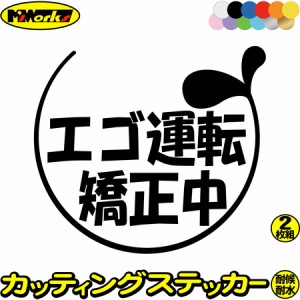 おもしろ ステッカー エゴ運転矯正中 2-6(2枚1セット) カッティングステッカー 全12色 車 おしゃれ バイク かわいい ジョーク 冗談 目立