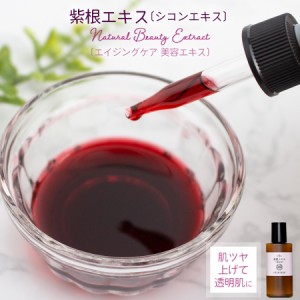 紫根エキス 20ml [ エイジングケア 紫根 シコン  手作りコスメ 手作り化粧品 化粧品原料 シコンエキス ]