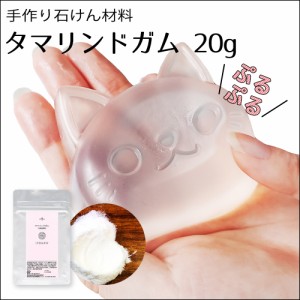 タマリンドガム 20g （ 手作り化粧品原料 増粘剤 ）