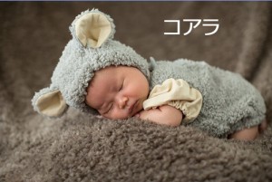 LAZA 【コアラ】ハロウィンベビー用 赤ちゃん 衣装 仮装 コスチューム 変装グッズ 子供 出産祝い 新生児