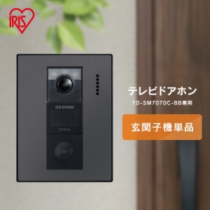 テレビドアホン 録画機能 インターホン ドアホン 防犯 交換 別売り 子機 単品 自動録画 外でも 外から スマホ対応 IoT 防犯カメラ 監視カ