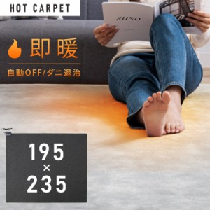 ホットカーペット 3畳 195×235 電気カーペット 電気 本体 マット 本体 TEKNOS カーペット 三畳 折り畳み収納可能 足元 あったか マット 