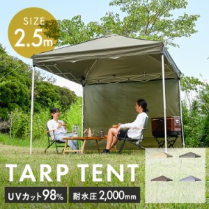 テント アウトドア 幅2.5m タープテント 2.5×2.5m TP-250 全4色 大型 日よけ UVカット 耐水 収納バッグ付き 頑丈 フルクローズ ワイド 
