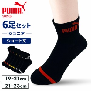  PUMA6足セット 4293719 PUMA (メール便)【B】 靴下 スニーカー丈 クッションパイル 