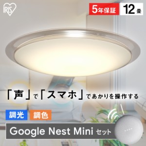 シーリングライト 12畳 LEDシーリングライト 調色 デザインフレームタイプ6.0 AIスピーカー ライト 電気CL12DL-6.0AIT+Google Nest Mini 