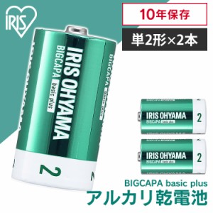 【最大2,000円ｵﾌｸｰﾎﾟﾝ！】 BIGCAPA basic＋ 単2形アルカリ乾電池2本パック LR14Bbp/2S 乾電池 アルカリ乾電池 単2 単2形 単二 単