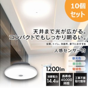 ★6/23 00:00〜700円OFFｸｰﾎﾟﾝ★ 【10個セット】シーリングライト LEDシーリングライト 1200lm ライト LED 小型 コンパクト 薄形 人