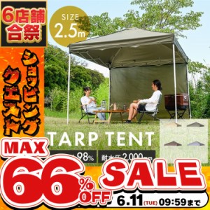 《半額SALE開催中！》 テント アウトドア 幅2.5m タープテント 2.5×2.5m TP-250 全4色 大型 日よけ UVカット 耐水 収納バッグ付き 頑丈 