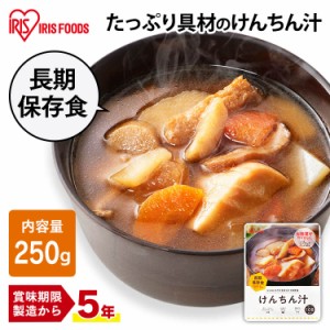 災対食パウチけんちん汁 250g  けんちん汁 非常食 具だくさん 防災 備蓄 やさい ヤサイ 野菜 保存食 災対食 パウチ 長期保存 防災 備蓄 