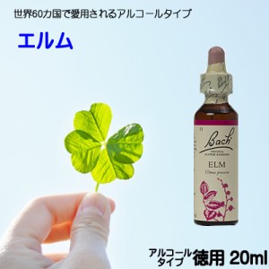 【エルム】アルコールベース20ｍｌ　■きっとやれると思える　【ゆうパケット選択で送料無料】バッチフラワーレメディ【新価格　2024.3.2