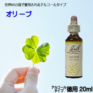 【オリーブ】アルコールベース20ｍｌ（元気・活力）【ゆうパケット選択で送料無料】バッチフラワーレメディ【新価格　2024.3.28】