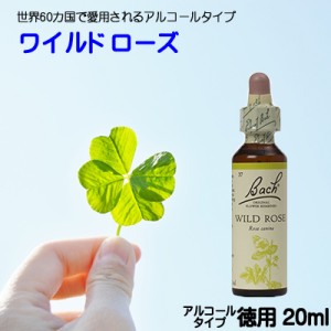 【ワイルドローズ】アルコールベース20ｍｌ■無気力・無関心・あきらめ　【ゆうパケット選択で送料無料】バッチフラワーレメディ【新価格