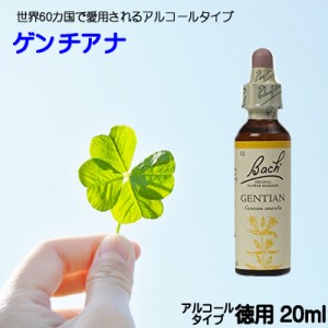 【ゲンチアナ】アルコールベース20ｍｌ■ マイナス思考→プラス思考　【ゆうパケット選択で送料無料】バッチフラワーレメディ【新価格　2