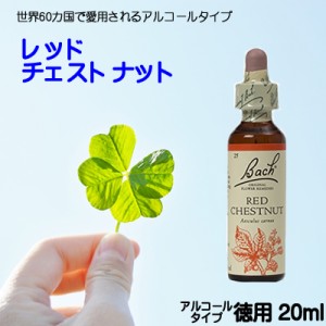 【レッドチェストナット】アルコールベース20ｍｌ　■過保護、お節介　【ゆうパケット選択で送料無料】バッチフラワーレメディ【新価格　