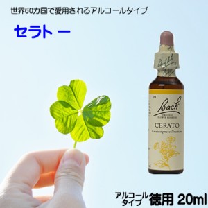 【セラトー】アルコールベース20ｍｌ■指針をもつことができる　【ゆうパケット選択で送料無料】バッチフラワーレメディ【新価格　2024.3